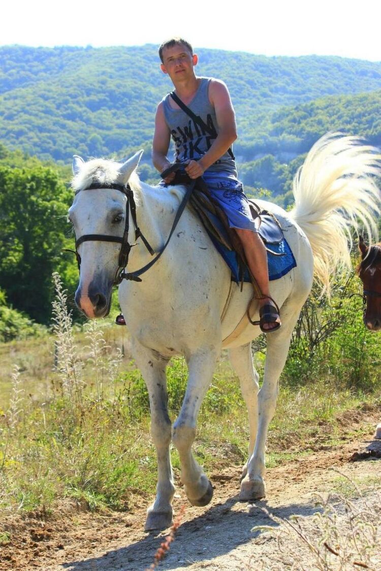 ���� 19293849 ������� �������, 47 ���, ���� ���������� � ��������