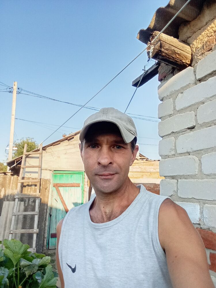  53202809  , 39 ,    