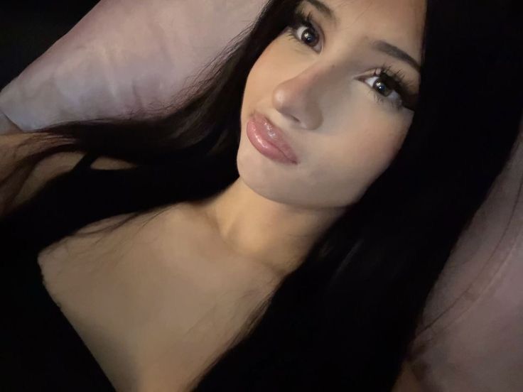  53073729  , 24 ,    