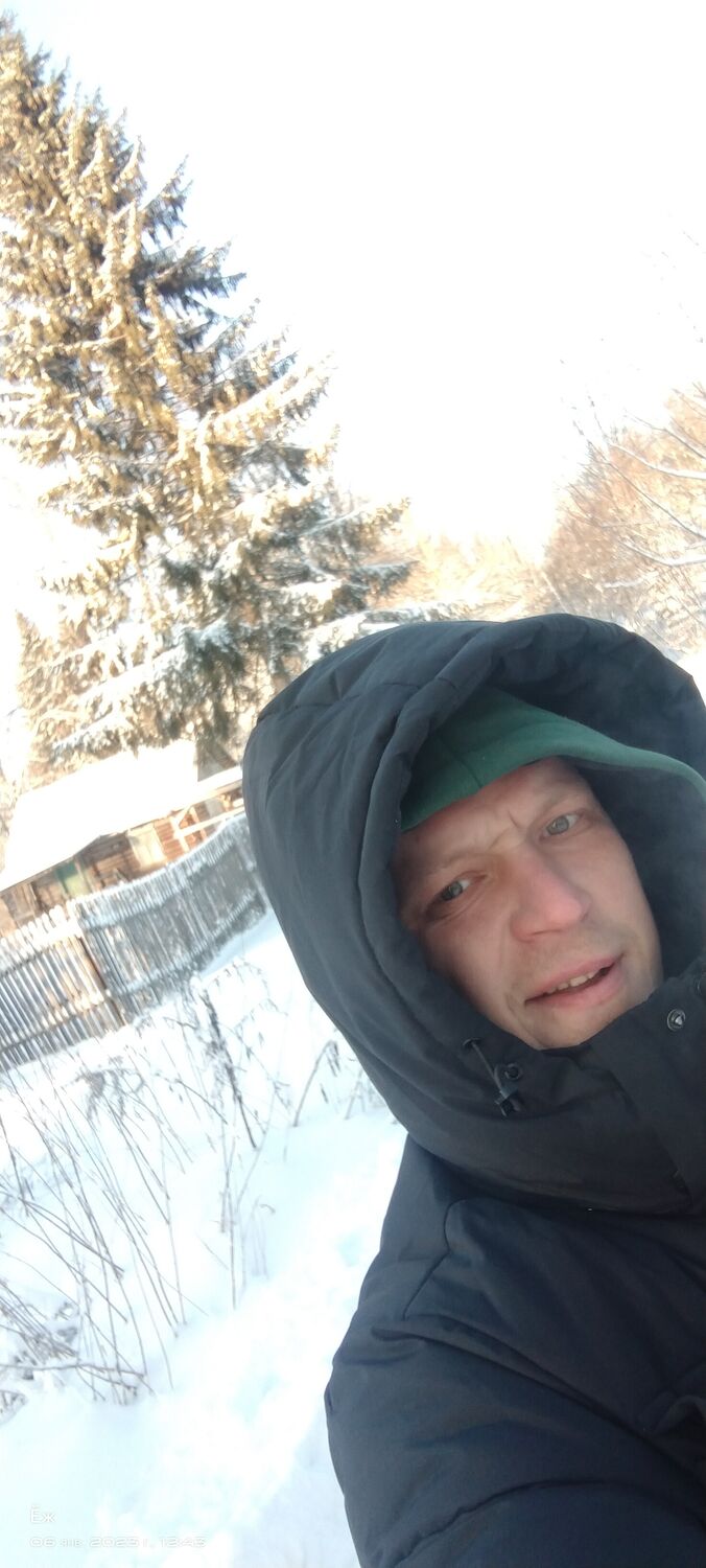  31979439  , 38 ,    -