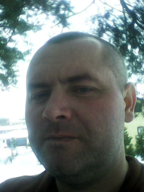  -,   , 44 ,   