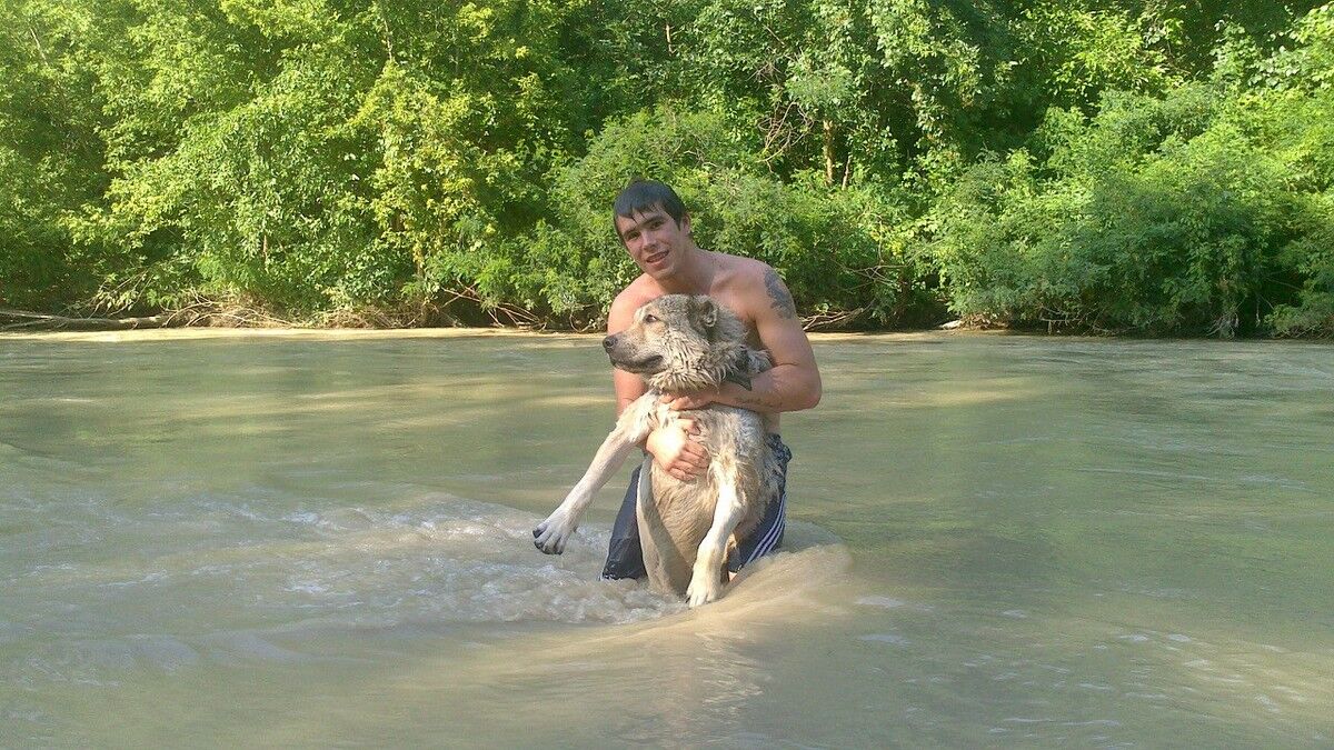 ���� 7742459 ������� �����, 32 ����, ���� ���������� � ���������������