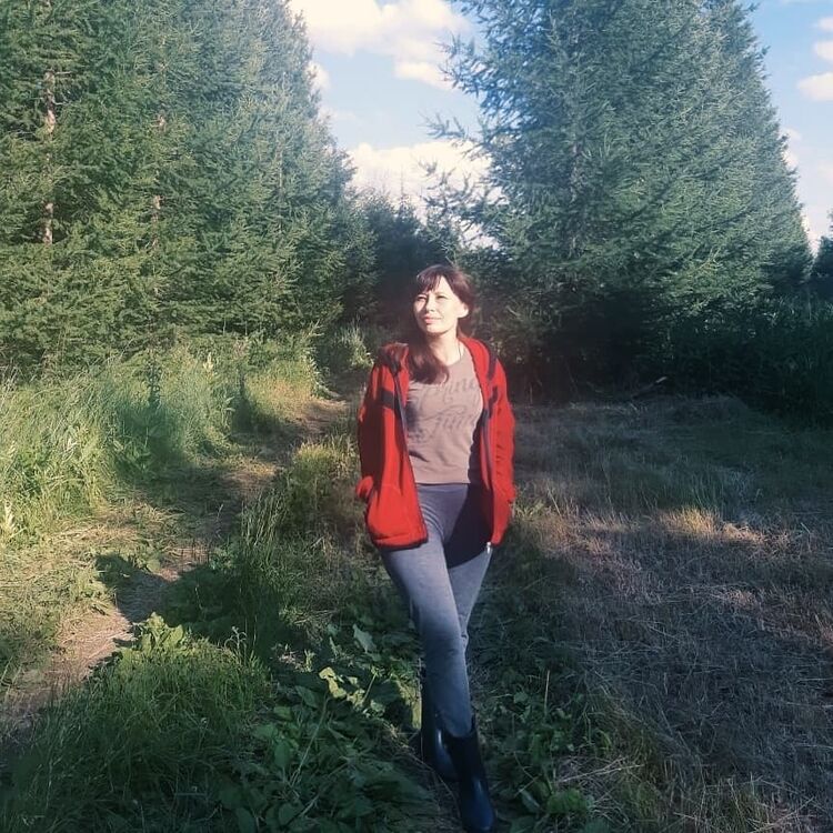 ���� 52655369 ������� �����, 50 ���, ���� ���������� � �������