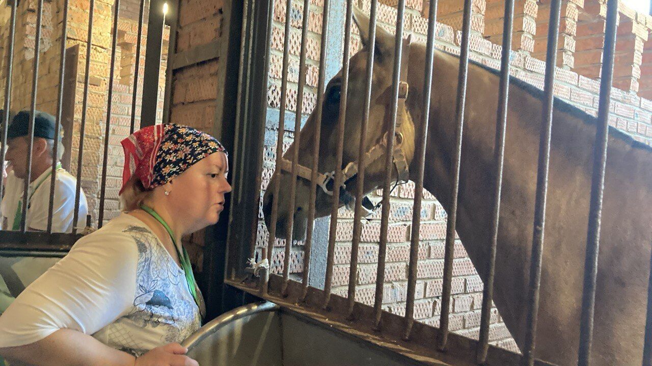 ���������� ������ ��������, ���� ������� ����, 50 ���, ������������ ��� ����� � ���������, c�������� ���������