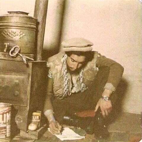 ���� 24113249 ����� ����, 23 ����, ���� ���������� � �������