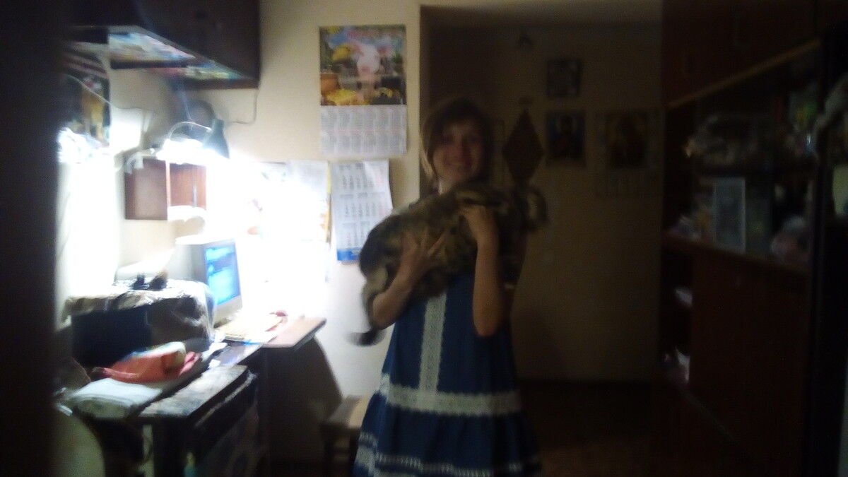 ���������� �������, ���� ������� ��������, 33 ����, ������������ ��� ������, ����� � ���������, c�������� ���������