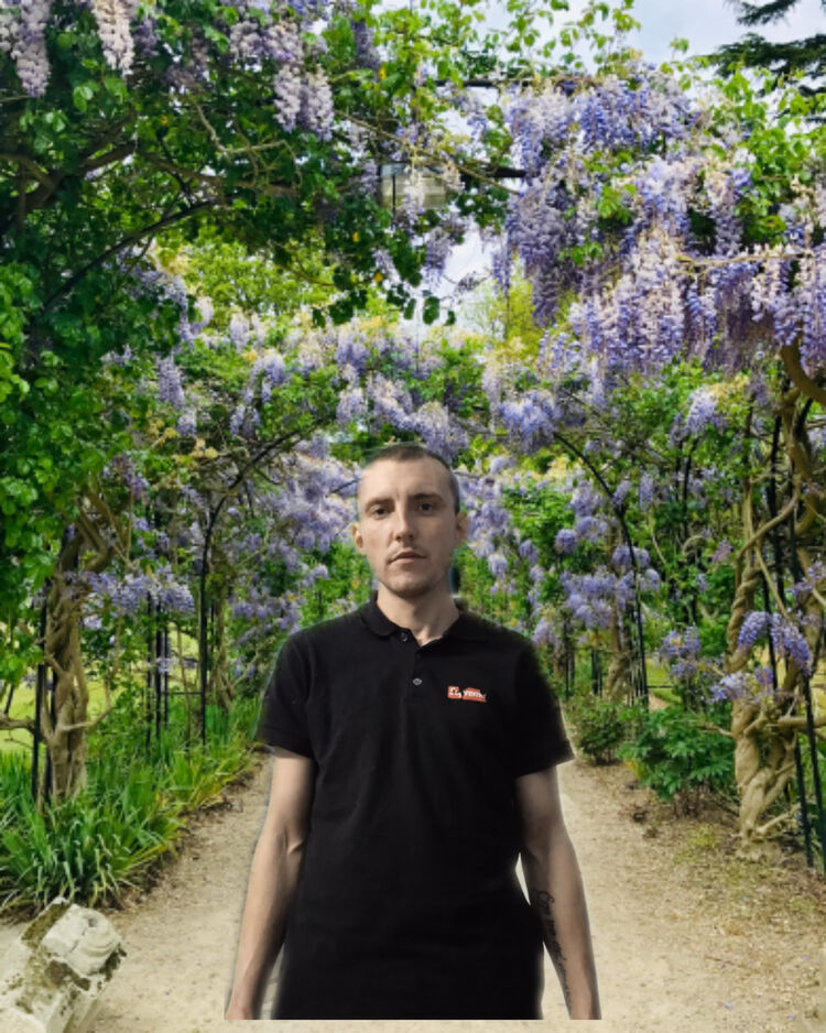 ���� 24335219 ������� ���������, 33 ����, ���� ���������� � �������������