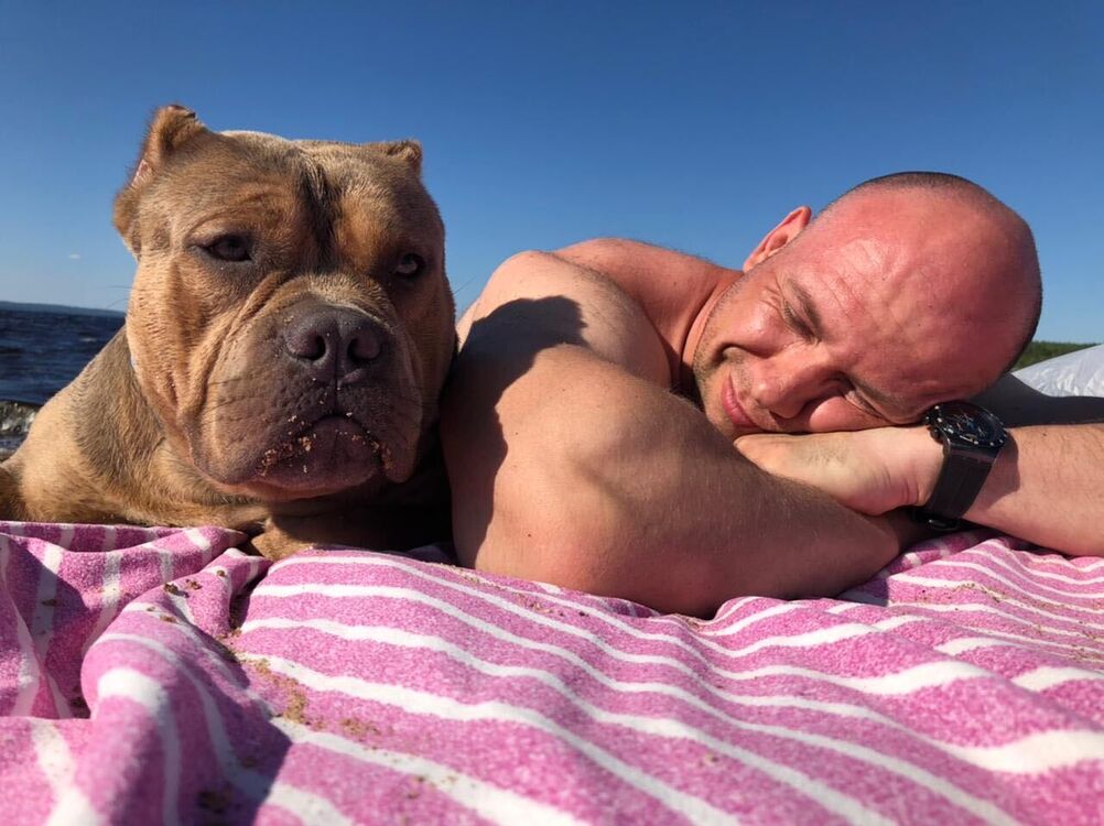 ���������� ������, ���� ������� ����, 41 ���, ������������ ��� ������, ����� � ���������, c�������� ���������, ���������