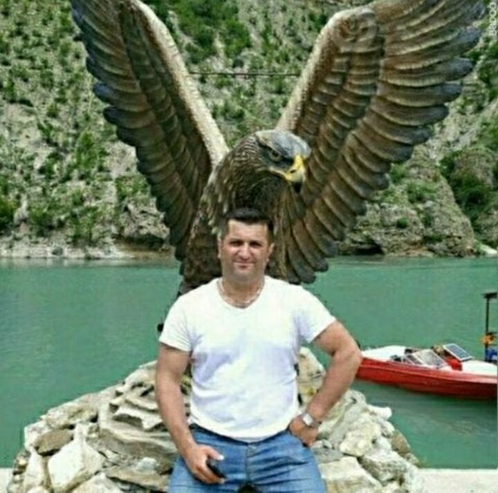  ,   , 41 ,   ,   