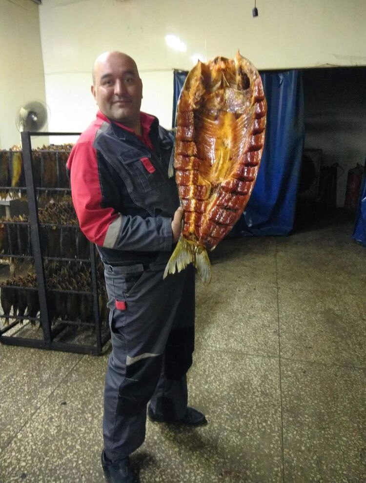  ,   , 48 ,   ,   , 