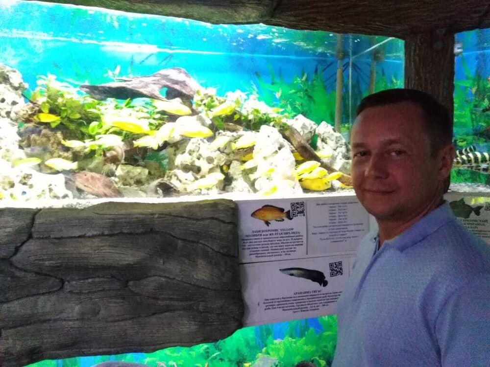 ���������� �����-���������, ���� ������� ������, 45 ���, ������������ ��� ����� � ���������, c�������� ���������