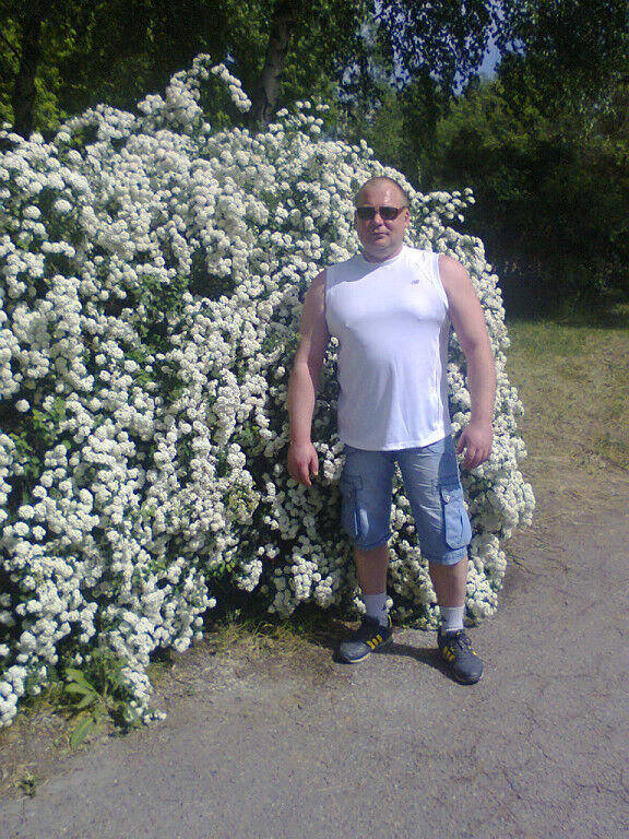  ,   , 53 ,   