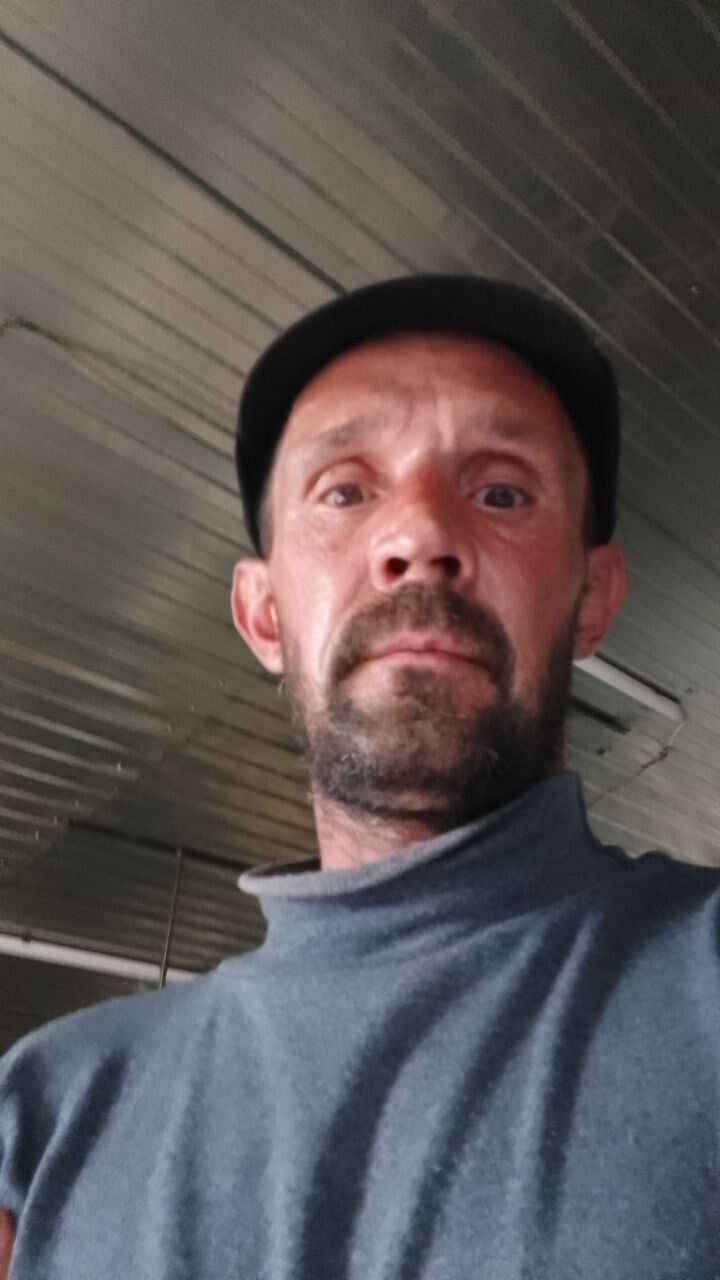  44006729   , 46 ,    
