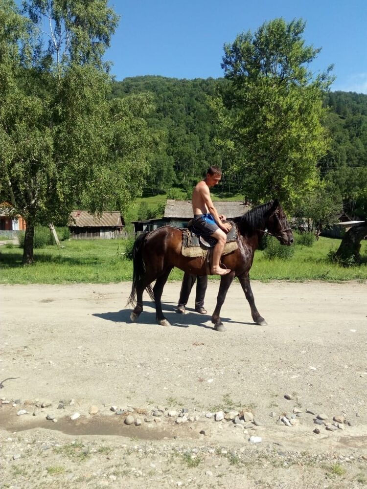 ���� 25388229 ������� �����, 40 ���, ���� ���������� � ��������