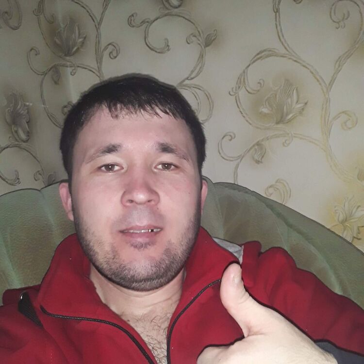  33544569  , 40 ,    