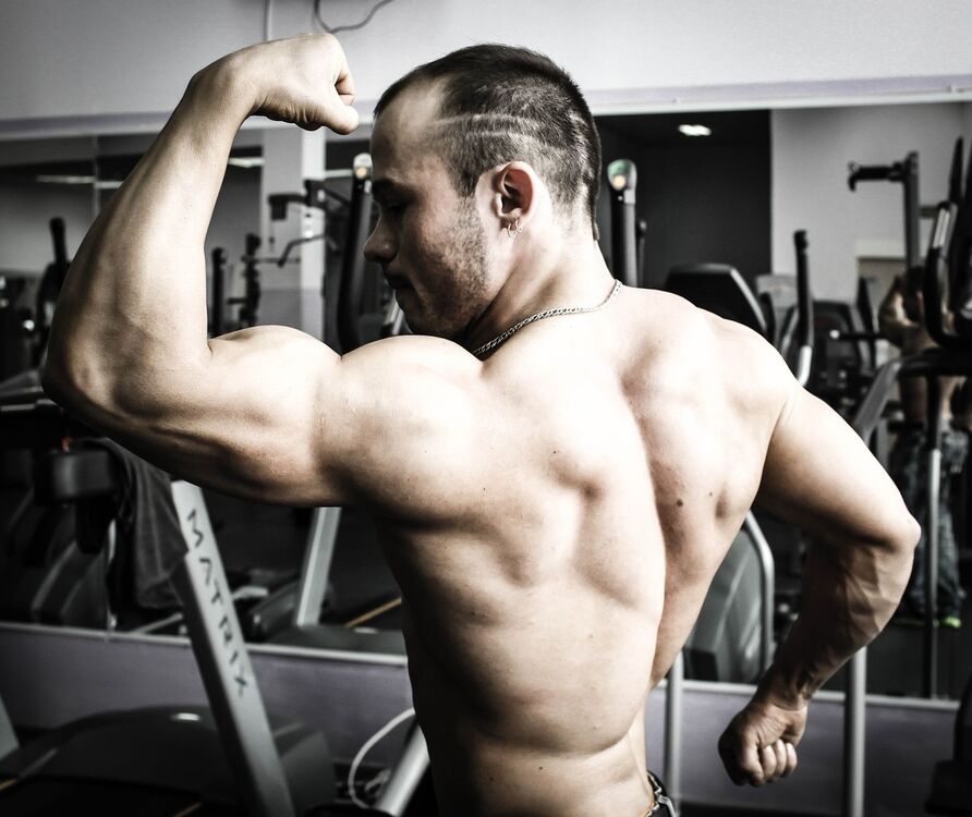  ,   Darss, 37 ,   