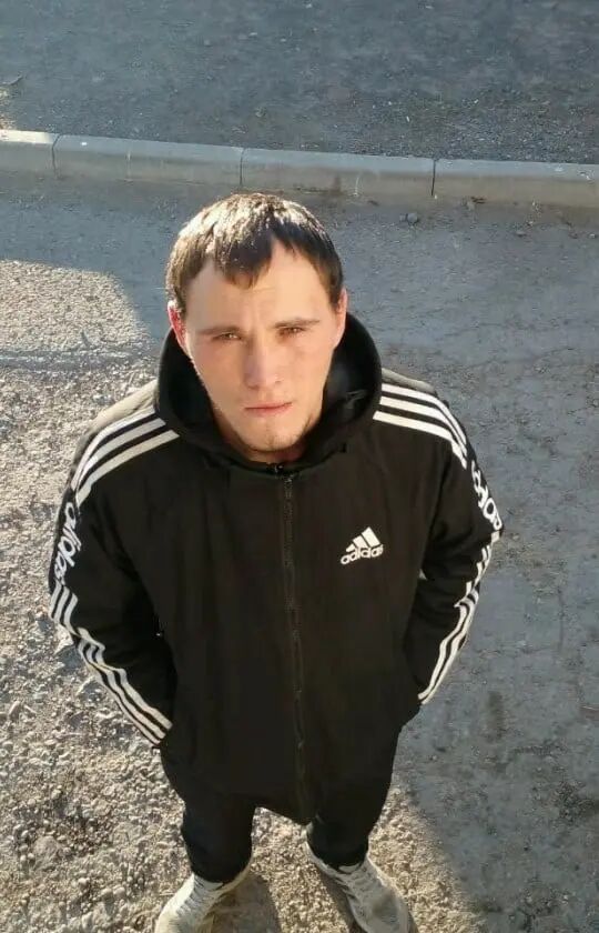  31585499  , 27 ,    