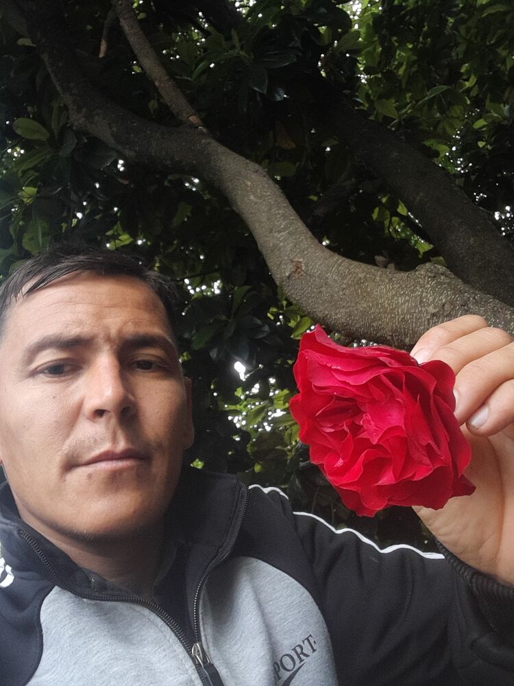 ���� 35215379 ������� ����, 35 ���, ���� ���������� � ����