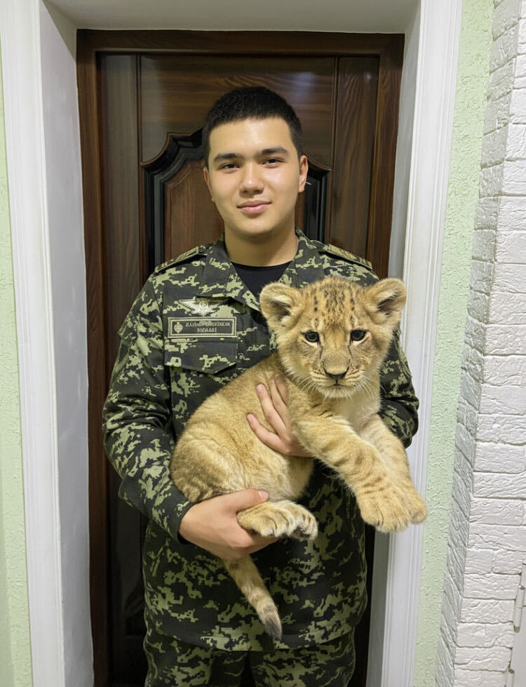 ���� 55070929 ������� Boxodir, 26 ���, ���� ���������� � ��������