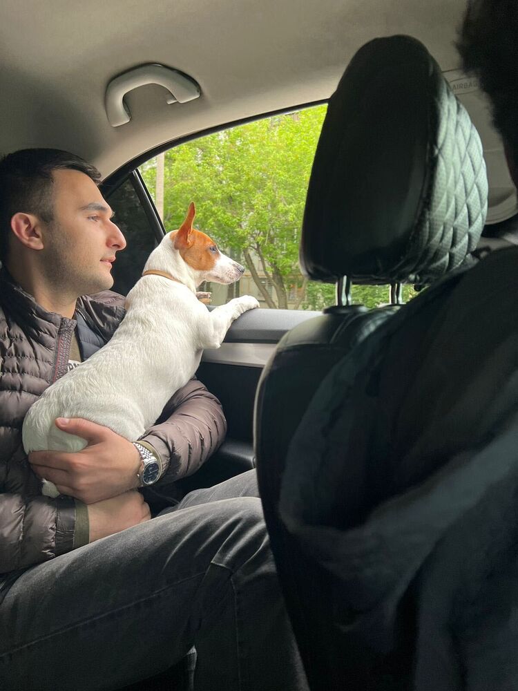 ���� 41848199 ������� ����, 36 ���, ���� ���������� � ������