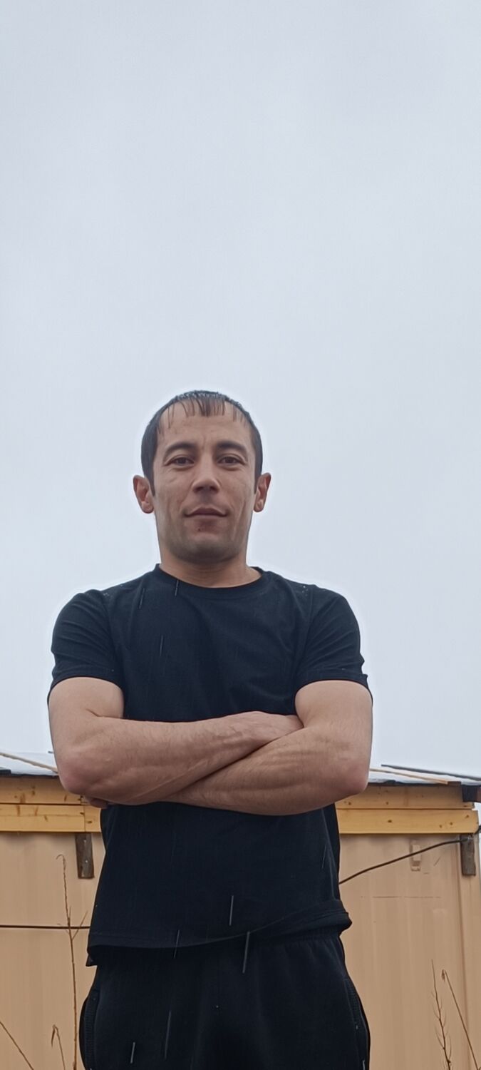 ���� 56219329 ������� ������, 33 ����, ���� ���������� � ��������