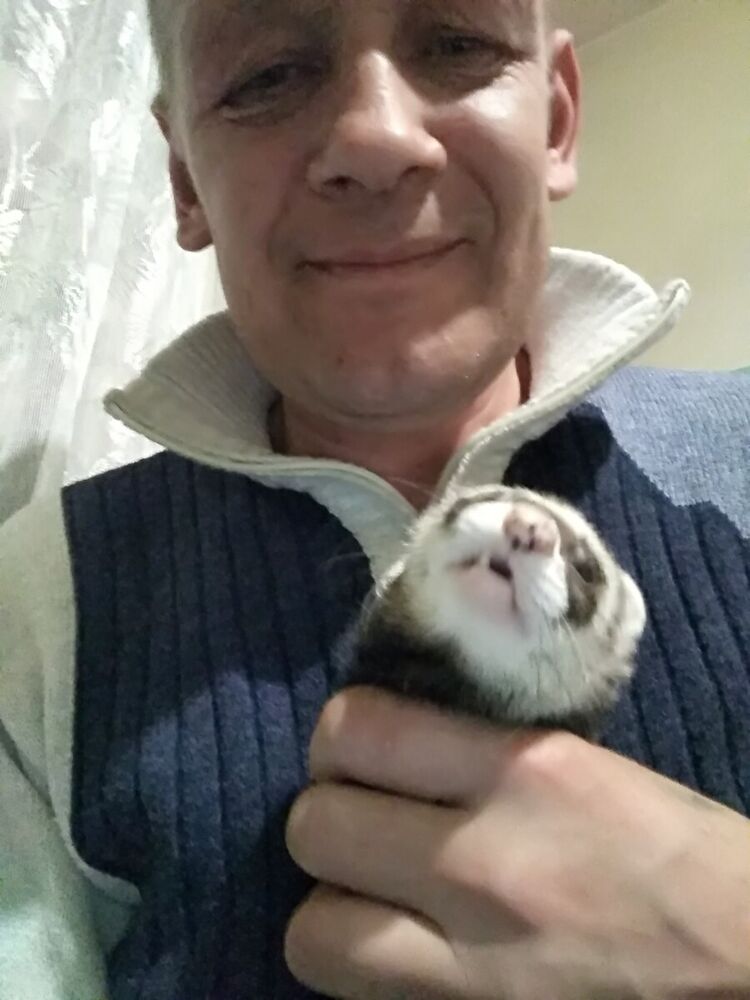 ���� 22056109 ������� ���, 47 ���, ���� ���������� � �����