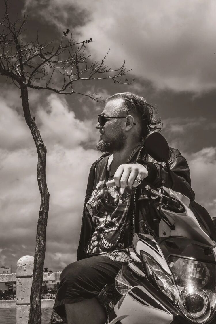 ���� 28998369 ������� Koss, 34 ����, ���� ���������� � �������������