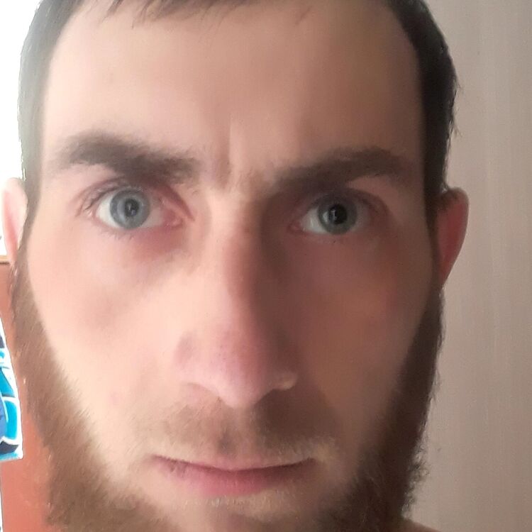  26832339  , 31 ,    