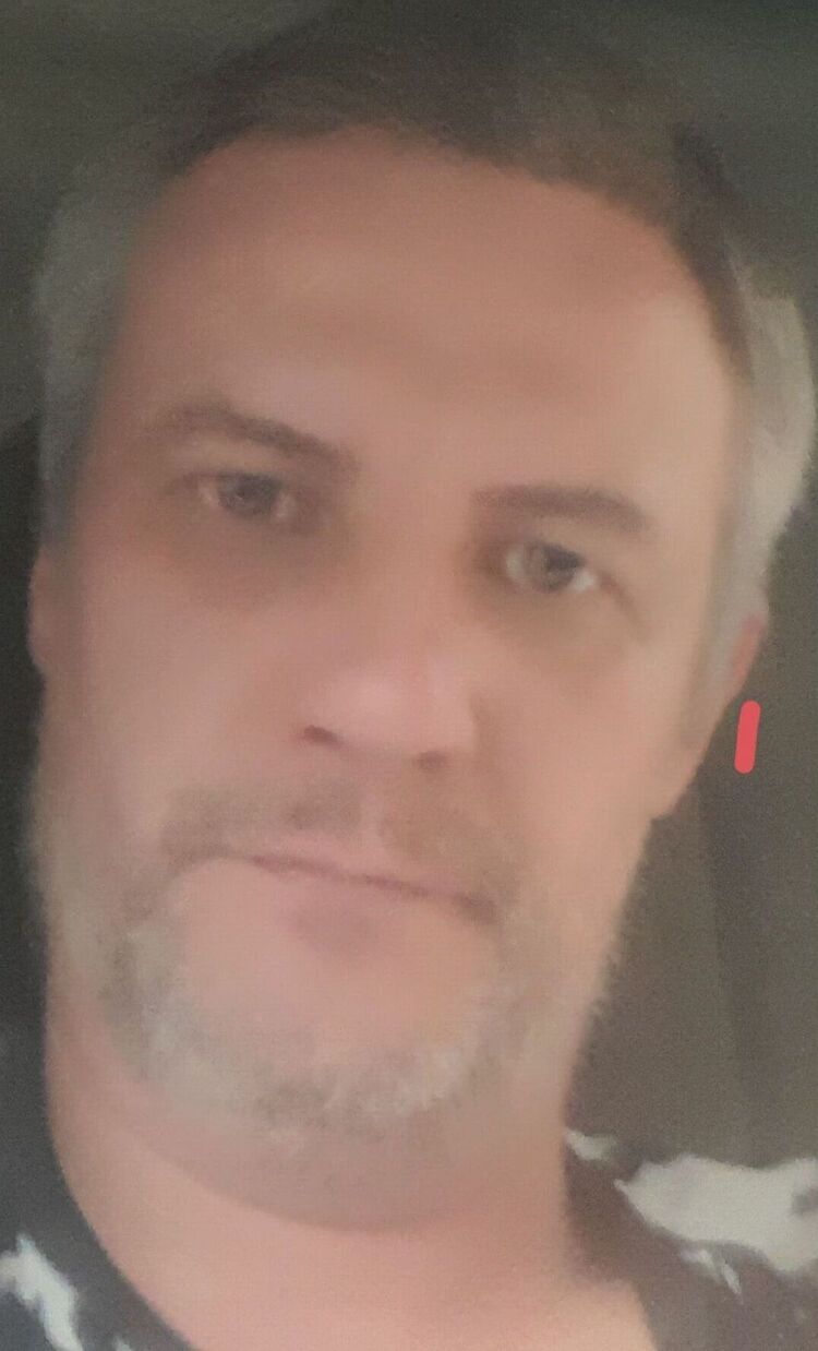  46244629  , 41 ,    