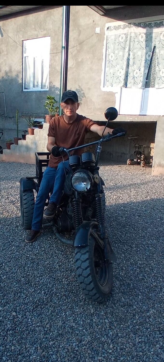  54061669  , 33 ,    -