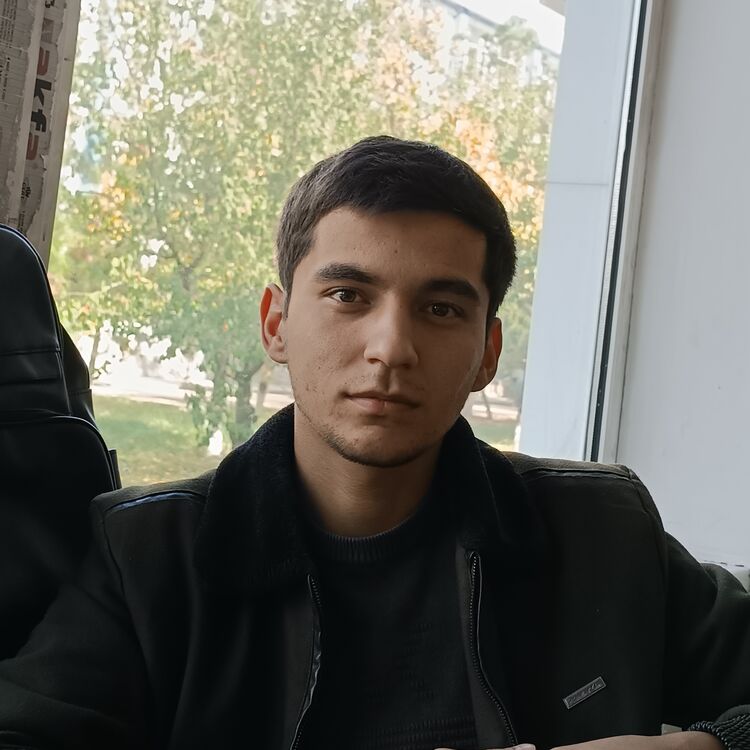 ���� 39341639 ����� ������, 24 ����, ���� ���������� � ��������