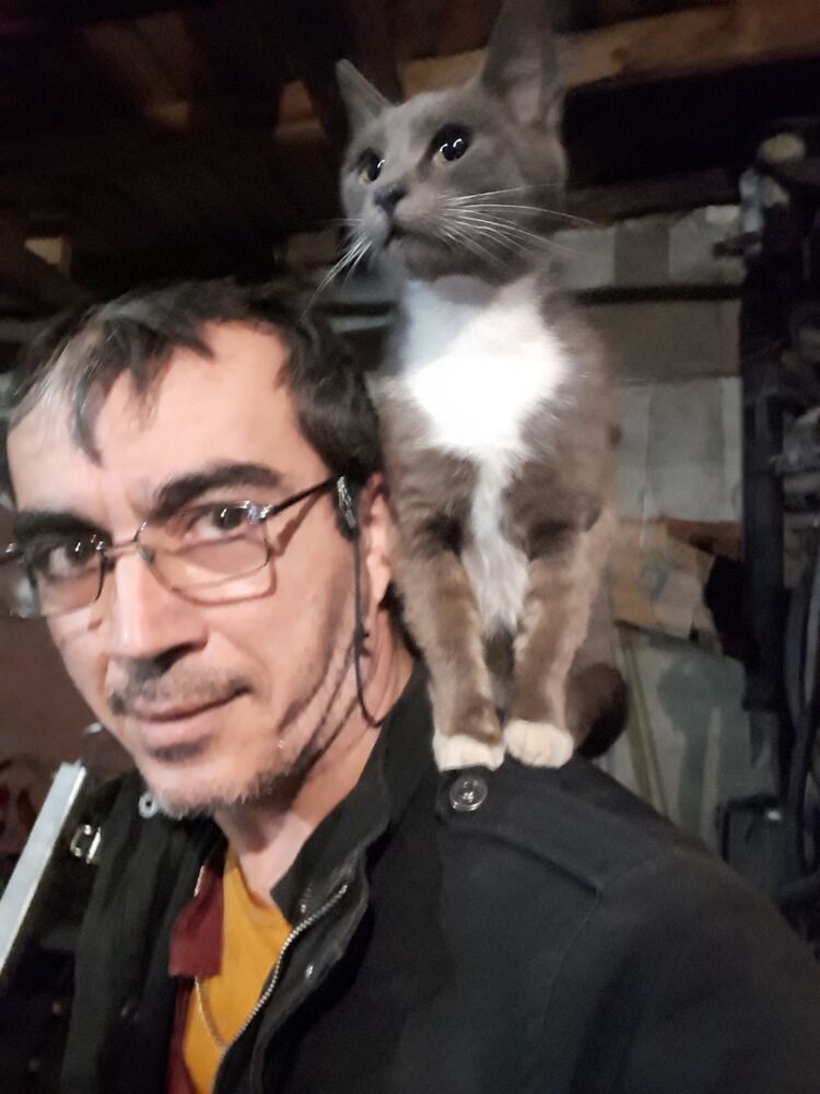 ���� 55239519 ������� ������, 52 ����, ���� ���������� � ���������