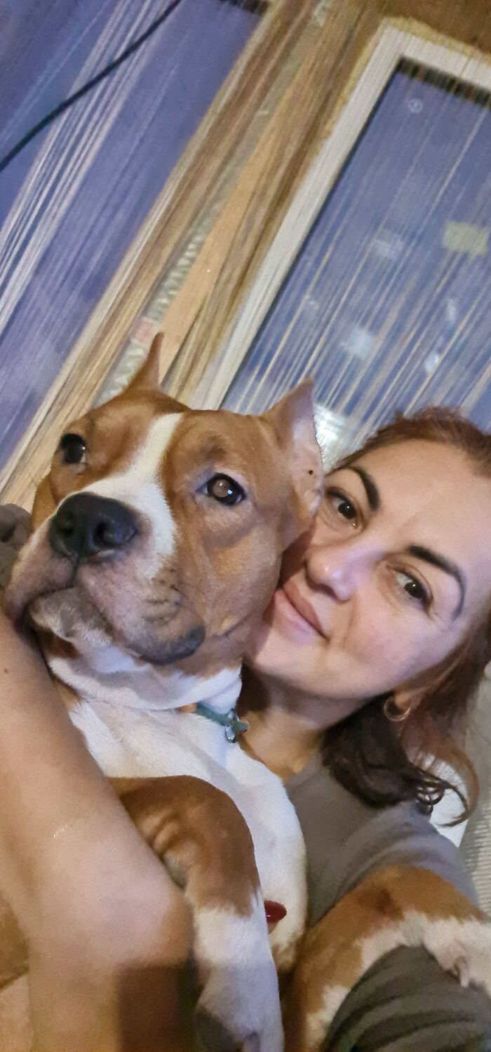  -,   , 41 ,   ,   