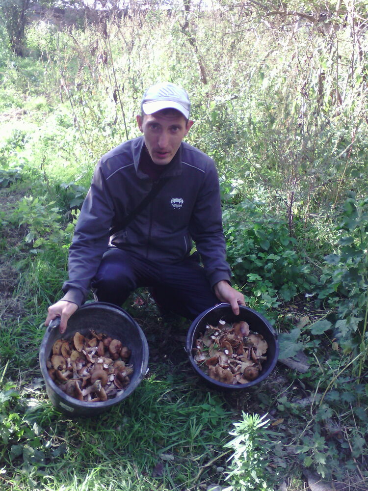 ���� 30861149 ������� ������, 35 ���, ���� ���������� � ������