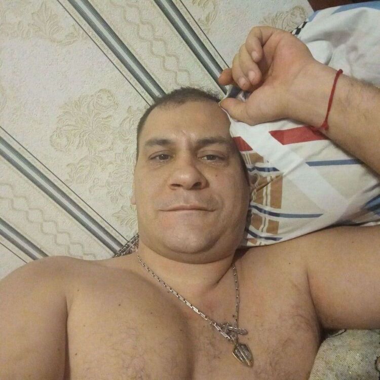  46581149  , 40 ,    