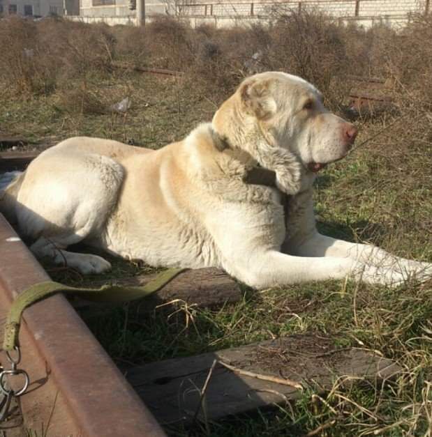 ���� 23058249 ������� �����, 48 ���, ���� ���������� � ���������������