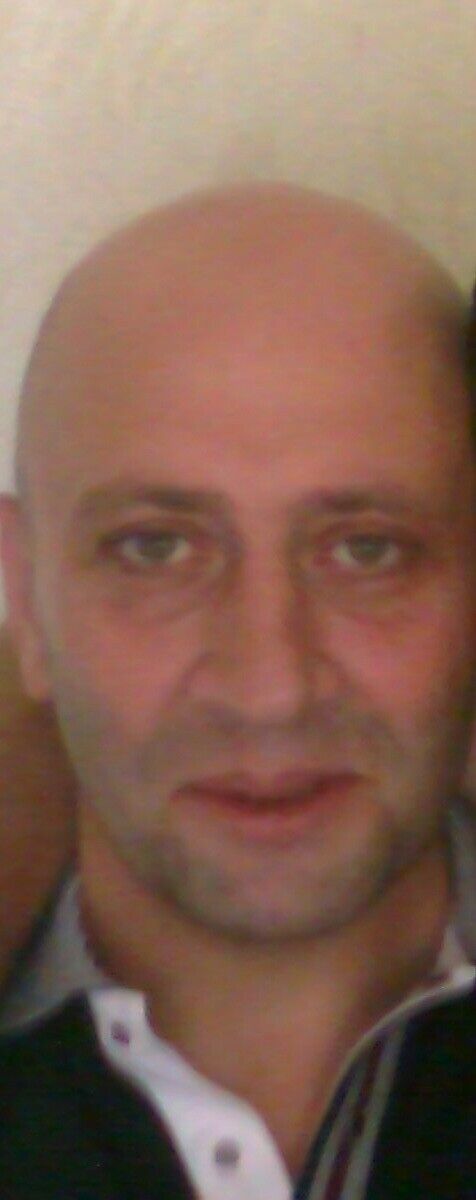  --,   Gogi, 70 ,   ,   , c 