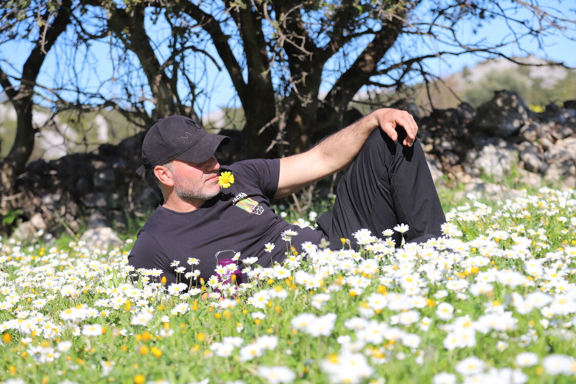 Alanya,   Murat, 40 ,   ,   