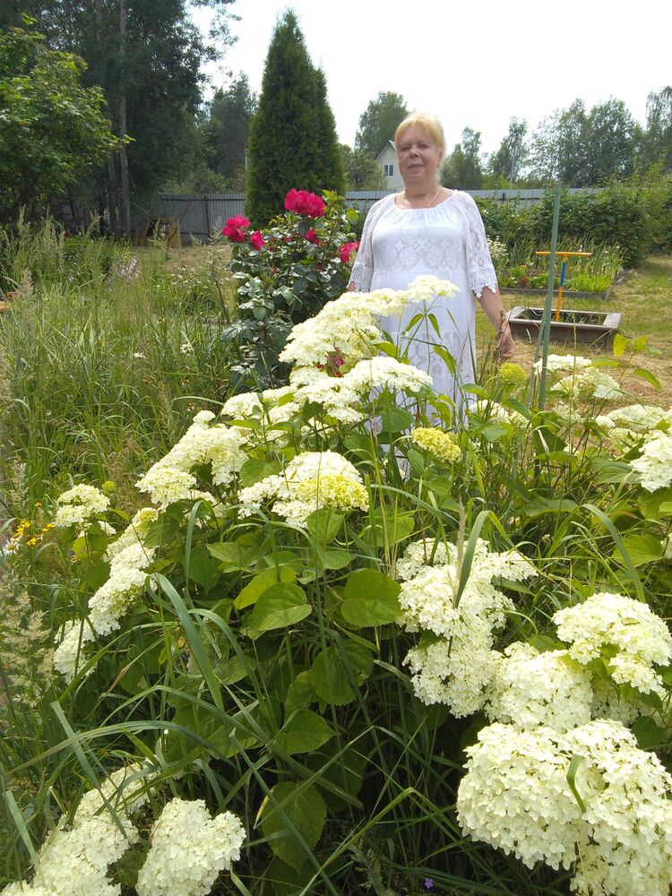 ���������� ������, ���� ������� �����, 67 ���, ������������ ��� ������, ����� � ���������