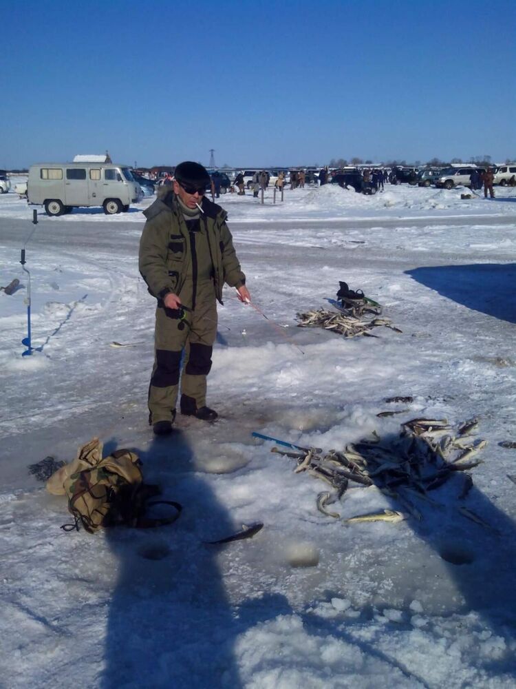  52520309  , 61 ,    -