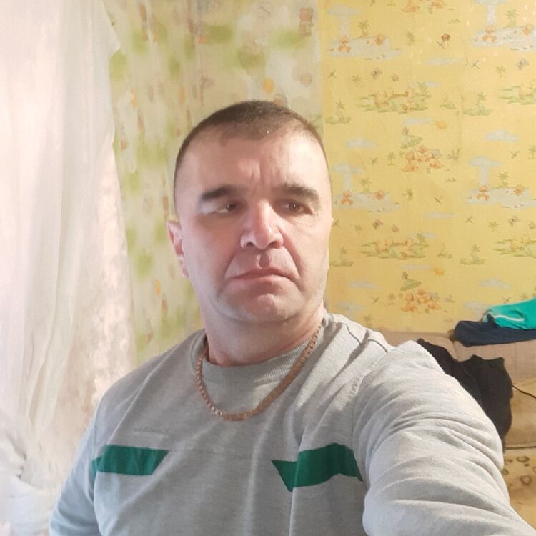  48054079  , 39 ,    -