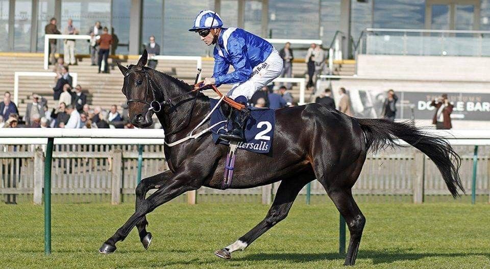 ���������� �������, ���� ������� �����, 41 ���, ������������ ��� ������, ����� � ���������, c�������� ���������