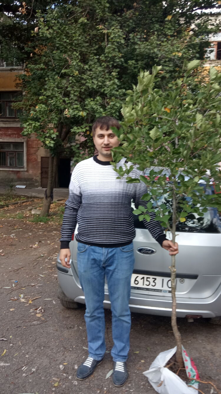  22978389  , 37 ,    