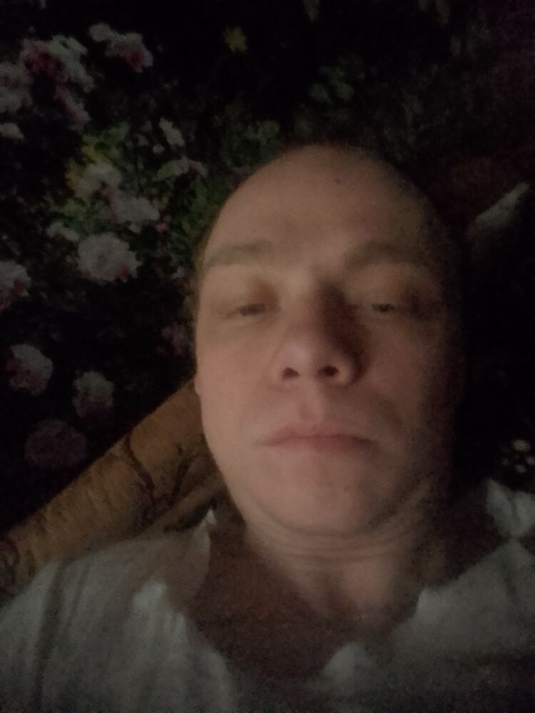 33734559  , 28 ,    -