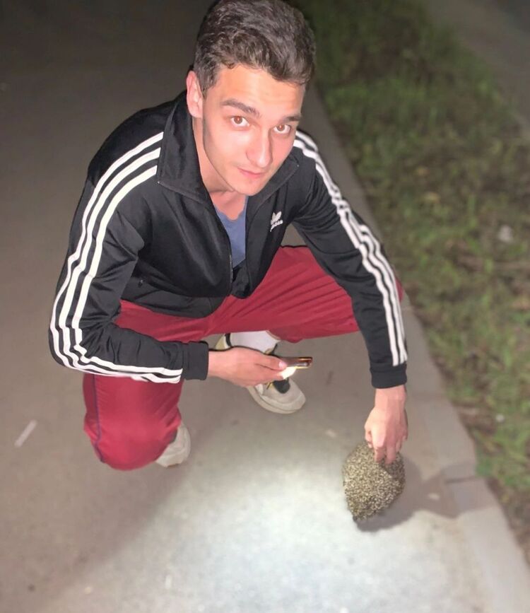 ���������� ������, ���� ����� ��������, 22 ����, ������������ ��� ������, ����� � ���������, c�������� ���������, ���������