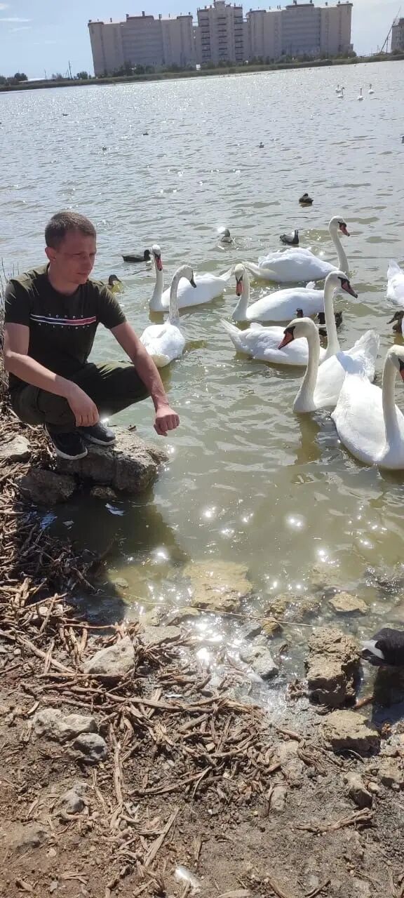 ���� 40281399 ������� ������, 30 ���, ���� ���������� � ����