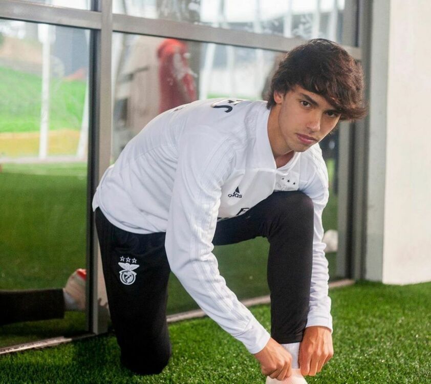 ���� 18456559 ������� ����, 33 ����, ���� ���������� � ��������