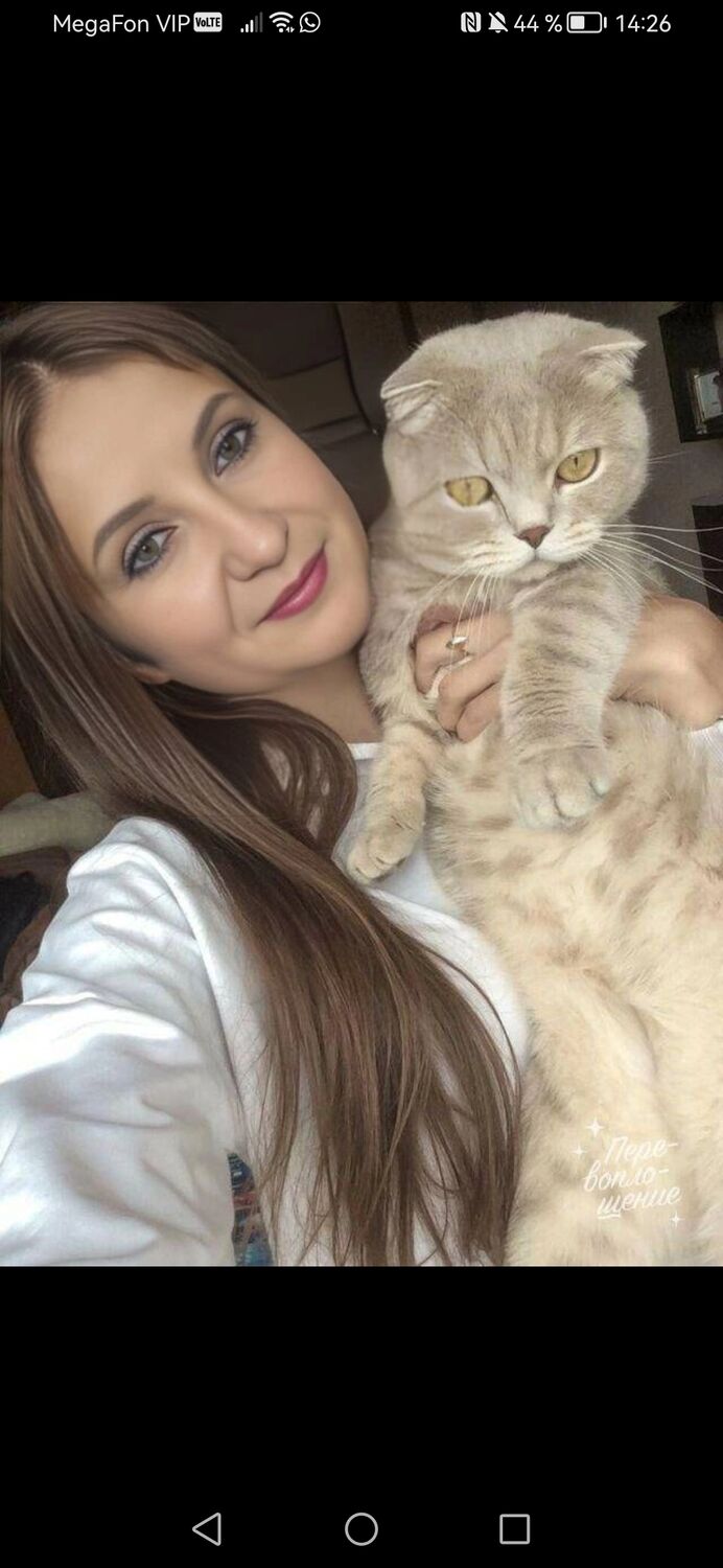  -,   , 44 ,   