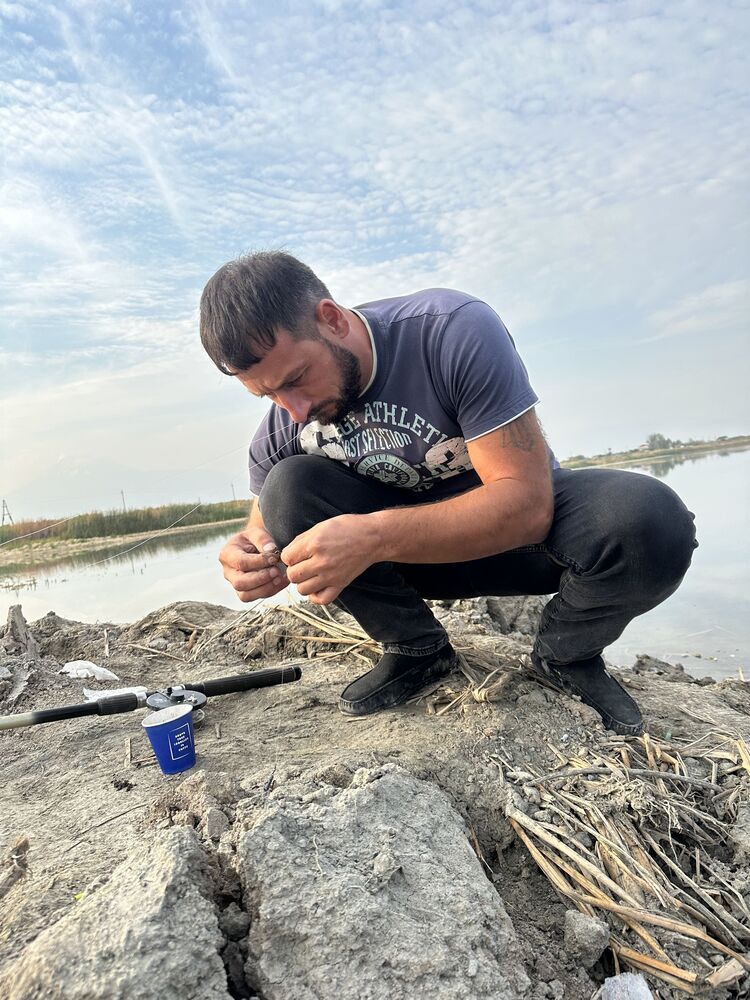 ���� 39685289 ������� ������, 33 ����, ���� ���������� � ����-���