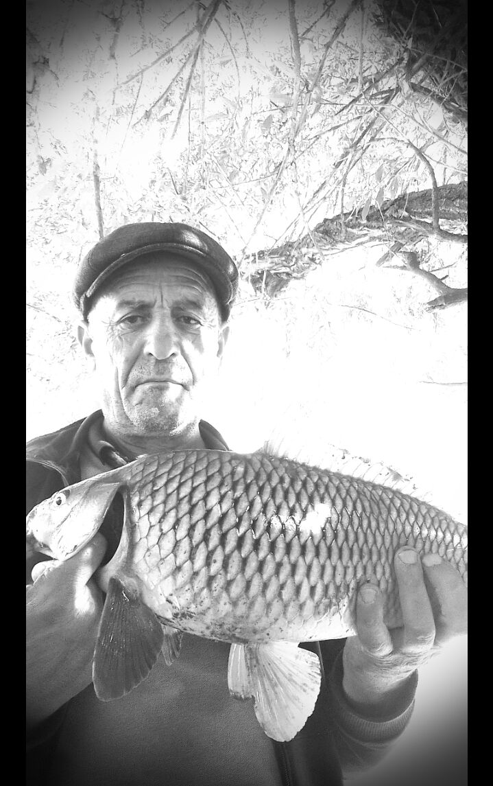 ���������� ������, ���� ������� ������, 57 ���, ������������ ��� ������, ����� � ���������